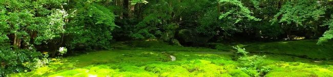 クック8LIA5C☆'s header image