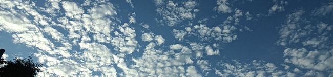 空うさぎ♪'s header image