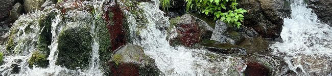 ちぃいぃぃ's header image