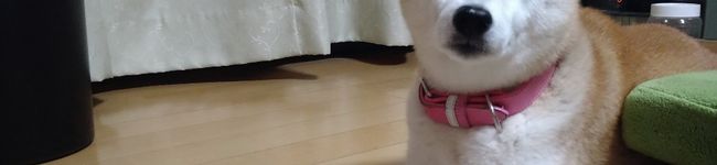 Hyki's header image