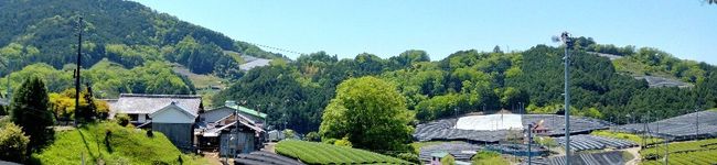 友友❀'s header image