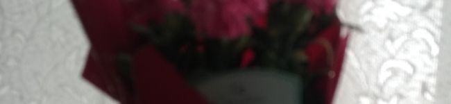 ☆★ぽんちゃん★☆'s header image
