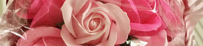 登録販売者's header image