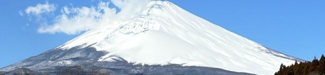 おりさの執事's header image