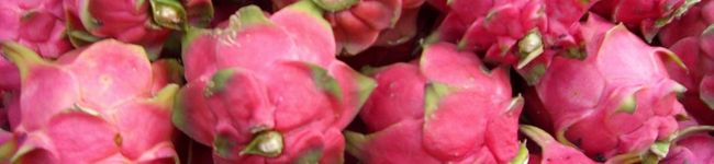 mochakko's header image
