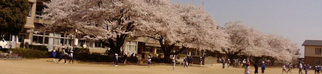 kuri426's header image