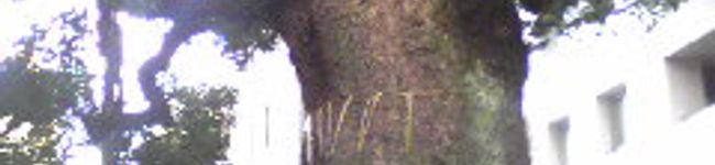 Kueh Kueh's header image