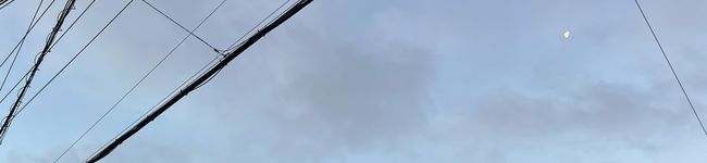 コンノさん's header image