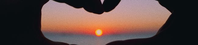 panda___'s header image
