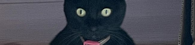 クックMW96EM☆'s header image