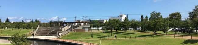 コータクチー's header image