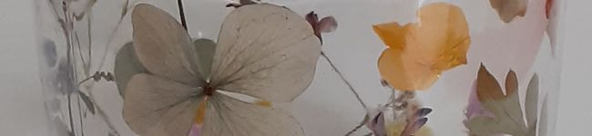 笠野ホネ's header image