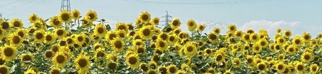 もっさん☆☆'s header image