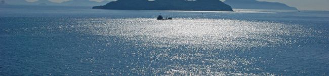 verick's header image