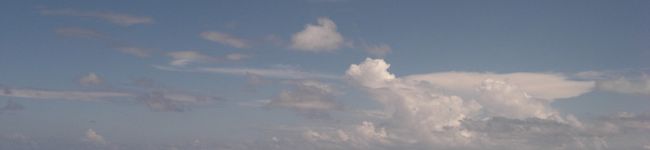 とんちゃんの妻's header image
