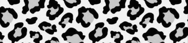 キッチン爆破部's header image