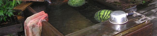 nanako2525's header image