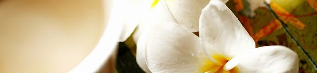 nontuma's header image