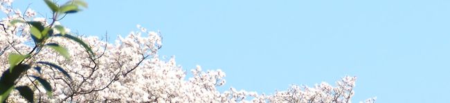 めめの台所's header image