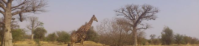 Rasoighar's header image