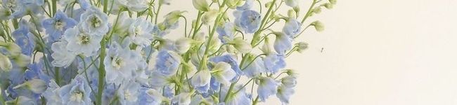 Bistroすいれん's header image
