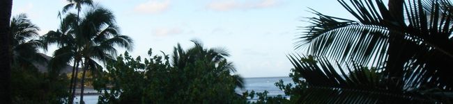 mini-iland's header image