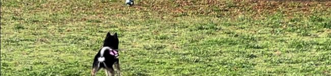 はるちゅうた０２１５'s header image