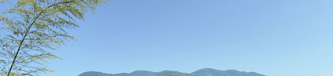sen_215's header image