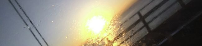 れんすけ81's header image