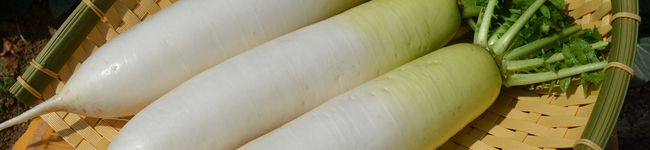 くろぜむ農園キッチン's header image