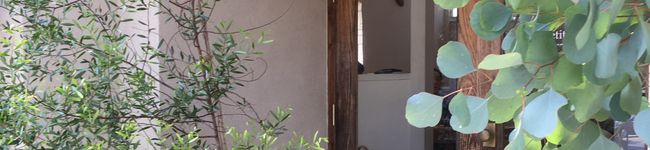 discojuice's header image