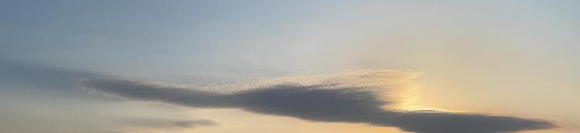 笑emiスポーツ栄養's header image