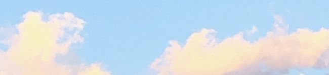 ♡pyon's header image