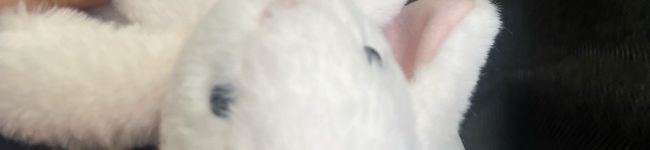 kinakoko0's header image