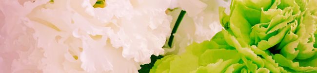 きょんこの調理場's header image