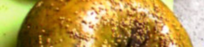 よろづ's header image