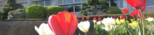 上農食文化's header image