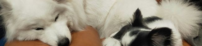 クックGK69B6☆'s header image