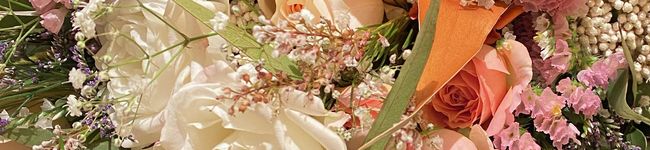 mahonoho's header image