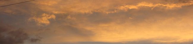 キョウ７７'s header image