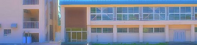 ゆみぱん🍞's header image