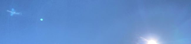 hayuの時短レシピ's header image