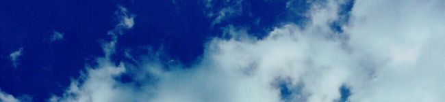 大体これくらい's header image