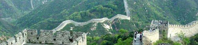 a7823282's header image