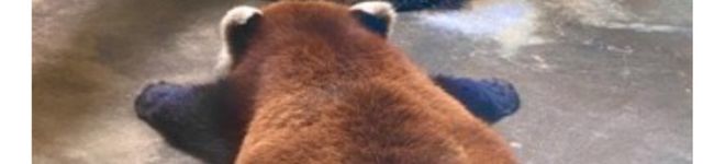 みなっぽ尊's header image