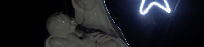 シルフィ's header image