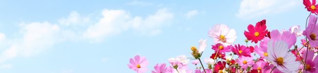 ❤まこ❤'s header image