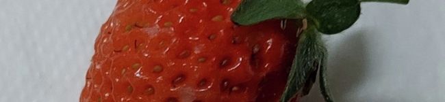 mituh's header image
