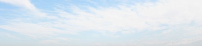 たまちゃんよ's header image