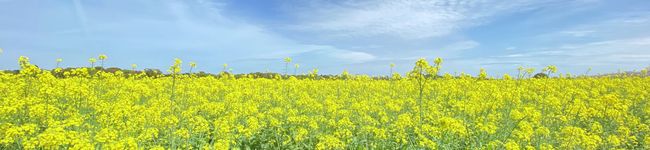 モグたろう's header image